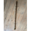 rainstick-cactus-dun-100_cm-e_1