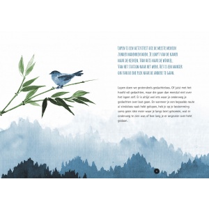 boek-de-kracht-van-wandelen-shinrin-yoku_f_372062533