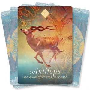 boodschappen-van-de-dieren-orakelkaarten_5