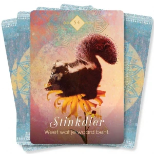 boodschappen-van-de-dieren-orakelkaarten_8