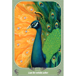 boodschappers-van-gaia-orakelkaarten_6