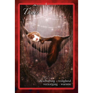 chakra-wijsheid-orakelkaarten_7