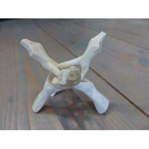 cobra-standaard-abaloneschelp-standaard_2_764277982