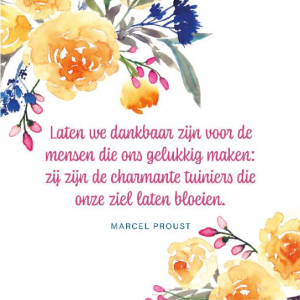 dankbaar-zijn-inzichtkaarten-deltas_9