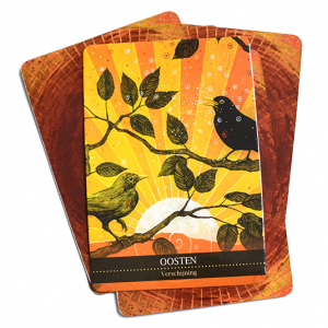 de-helende-kracht-van-het-sjamanisme_c