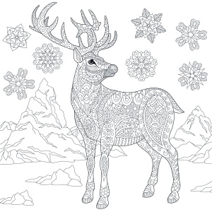 frozen-manadalakunst-kleurboek_3