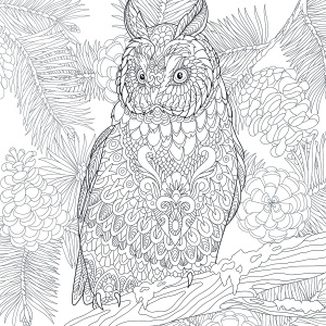 frozen-manadalakunst-kleurboek_5