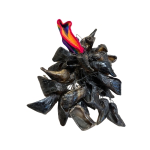 geitennagelratel_1_-_bewerkt