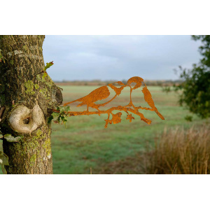 geluksvogel-mezenpaartje-1341_3