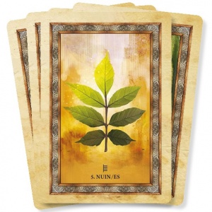 het-orakel-van-de-keltische-bomen_c