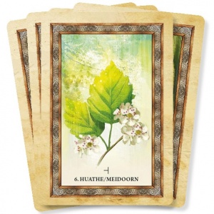 het-orakel-van-de-keltische-bomen_f