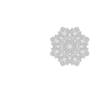 kleurboek-creative-moments-mindful--relaxing-mandala-creatief-kleuren-9789460973161_4