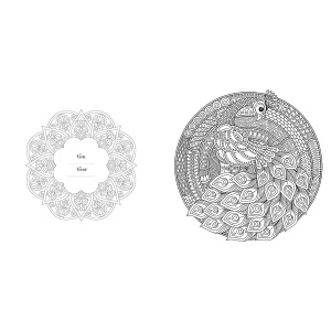 kleurboek-creative-moments-nature--flowers-mandala-creatief-kleuren-9789463541053_5