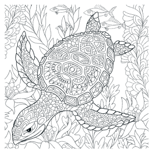 kleurboek-mandalakunst-oceaan_4