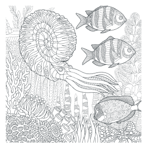 kleurboek-mandalakunst-oceaan_6