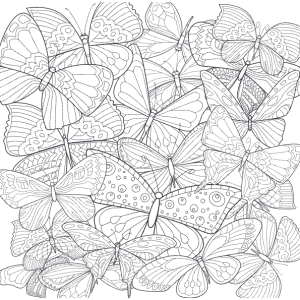 kleurboek-natuur-mandalakunst_4