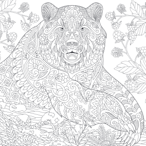 kleurboek-wilde-dieren-mandala_5