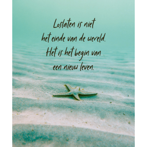 laat-het-los-inzichtkaarten-9789044765236_4_1023202891