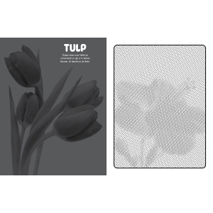 mystical-dots-bloemen-kleurboek_7