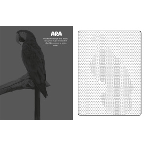 mystical-dots-vogels-kleurboek_4
