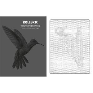 mystical-dots-vogels-kleurboek_5