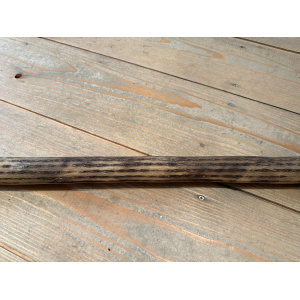 rainstick-cactus-dun-100_cm-a_3