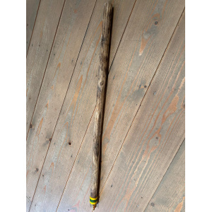 rainstick-cactus-dun-100_cm-d_1