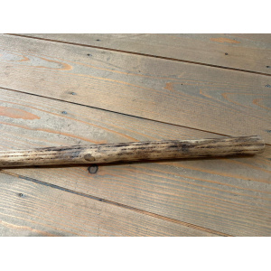 rainstick-cactus-dun-100_cm-d_4