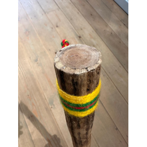 rainstick-cactus-dun-100_cm-d_5