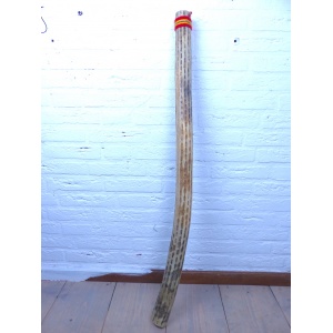 rainstick-regenmaker-regenstok-cactus-dun-100cm-n_d