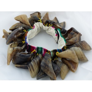 ratel-geitennagels_b_488852701