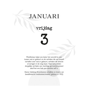 scheurkalender-2025-mindfulness-en-feel-good_2
