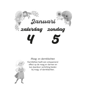 scheurkalender-2025-oma-weet-raad_3