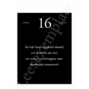 scheurkalender-2026-een-jaartje-vol-liz-is-more-9789462347366_19