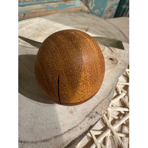 schud_ei-egg_shaker-hout-middel_4