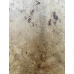 sjamanendrum-sjamanentrommel-verstelbaar-hert-es-labradoriet_2